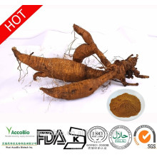 High Quality 100% Natural Kudzu Extract Powder Isoflavones